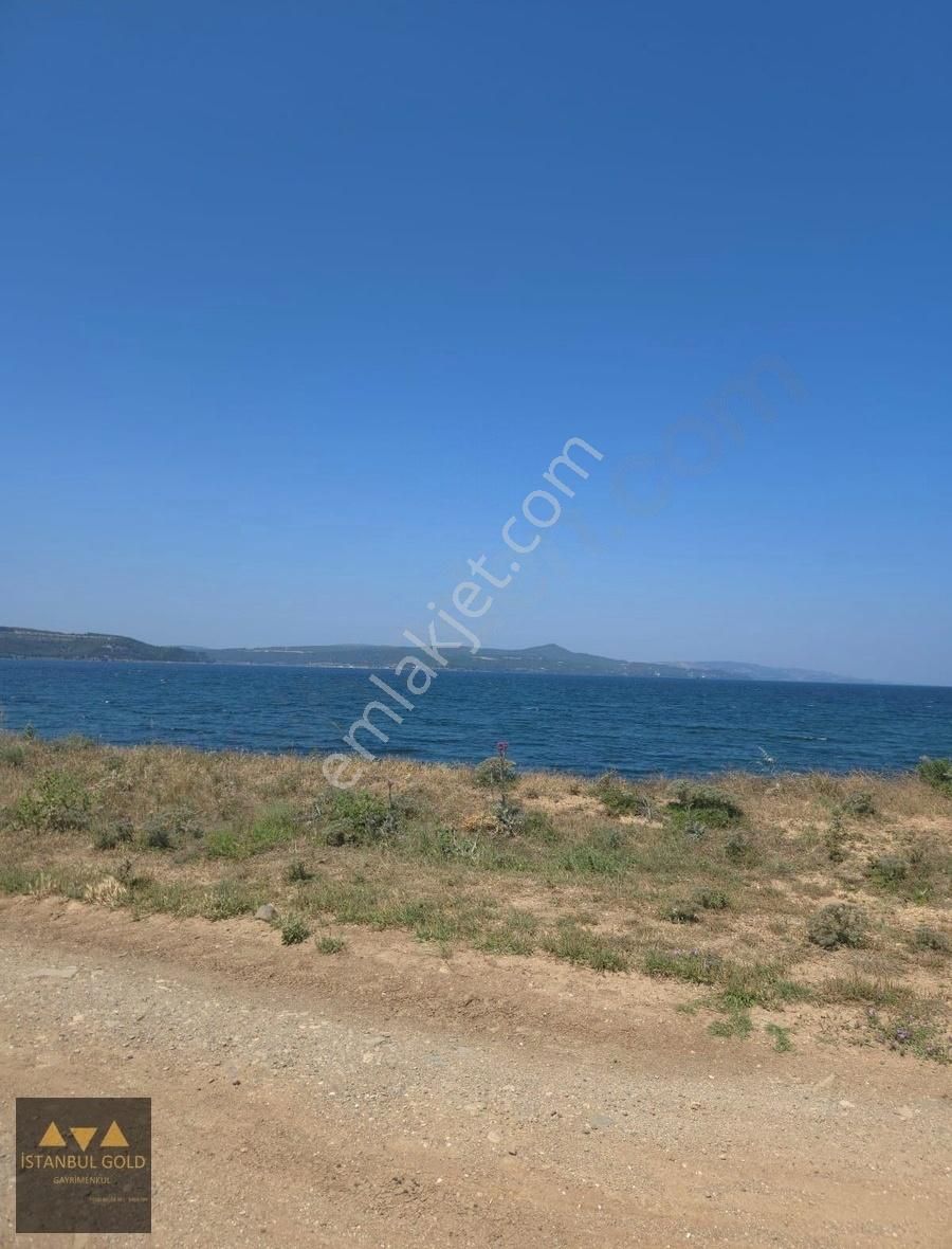 Çanakkale Karacaörende Denize Sıfır Tarla - Görsel 9