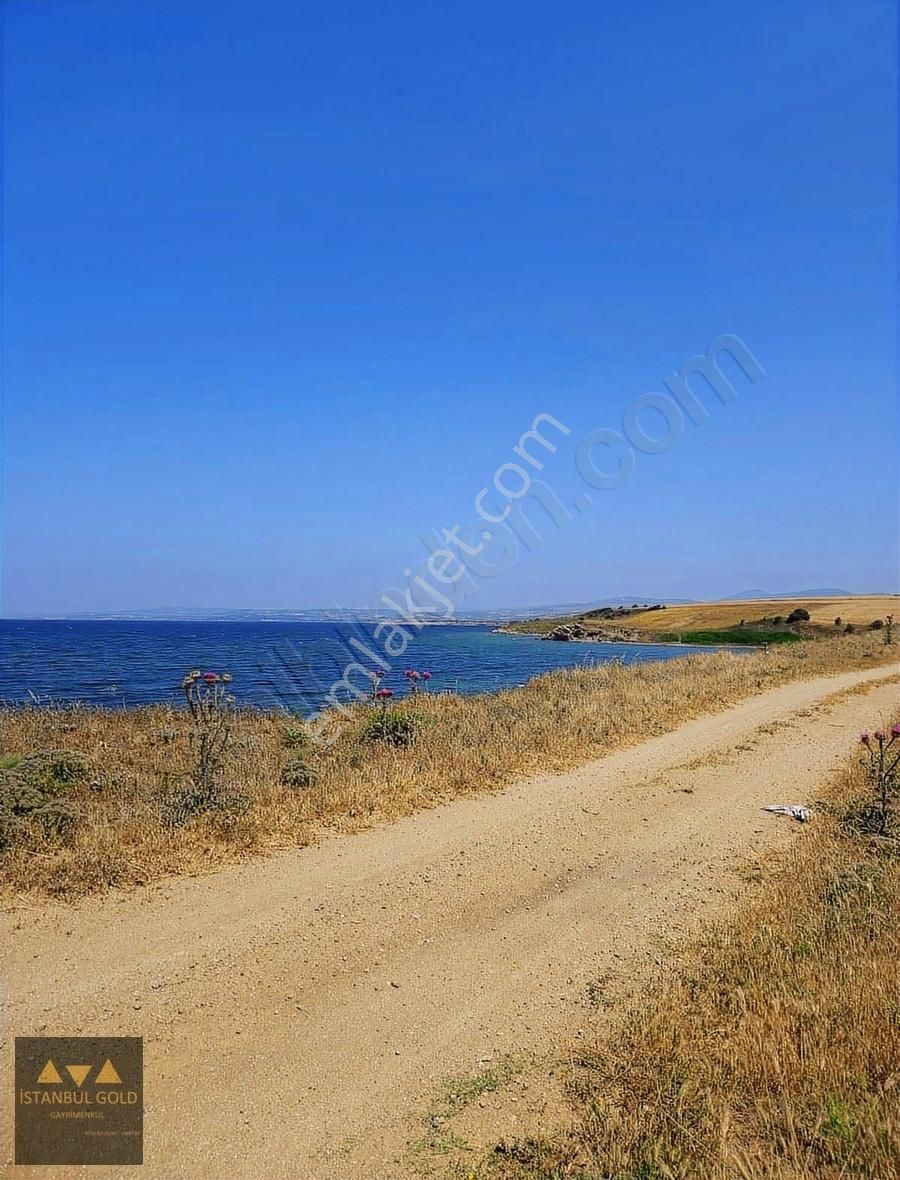 Çanakkale Karacaörende Denize Sıfır Tarla - Görsel 4