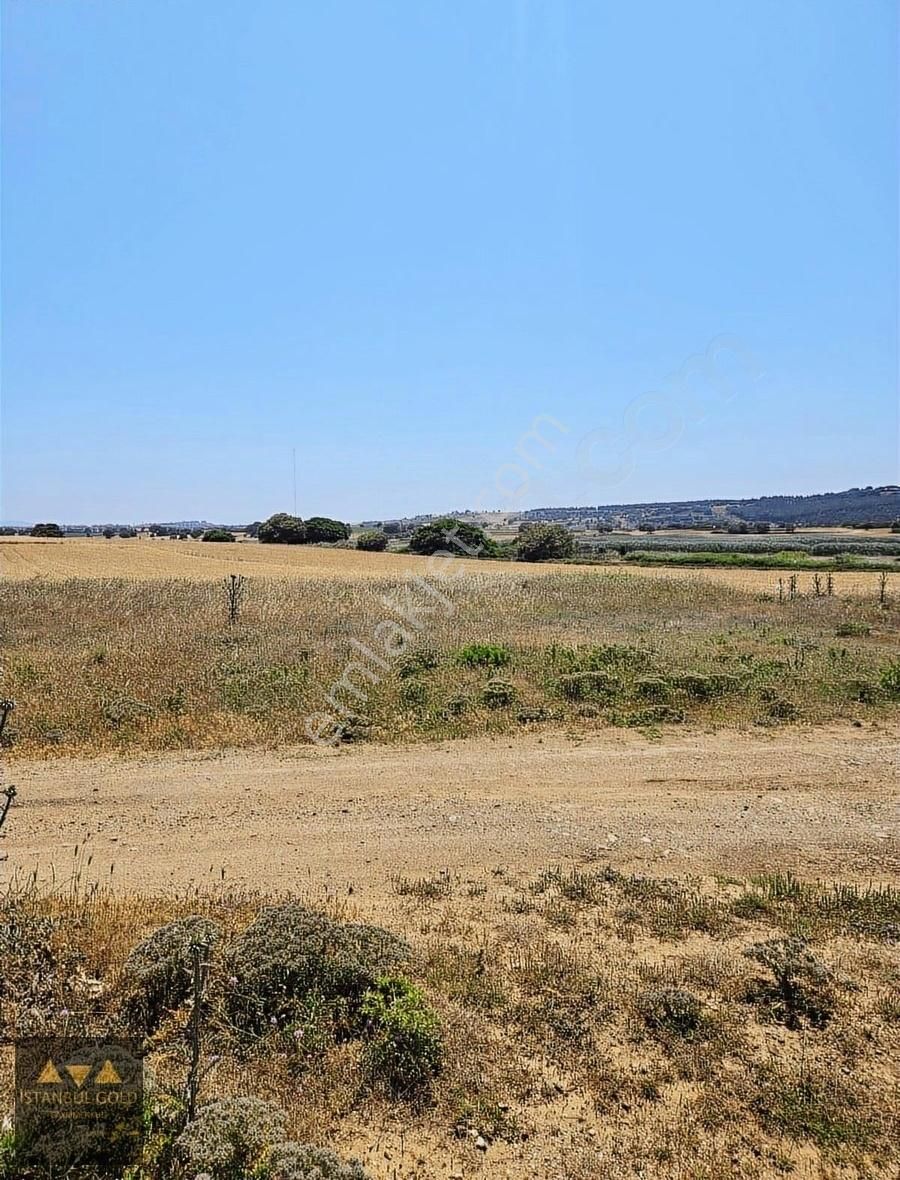 Çanakkale Karacaörende Denize Sıfır Tarla - Görsel 2
