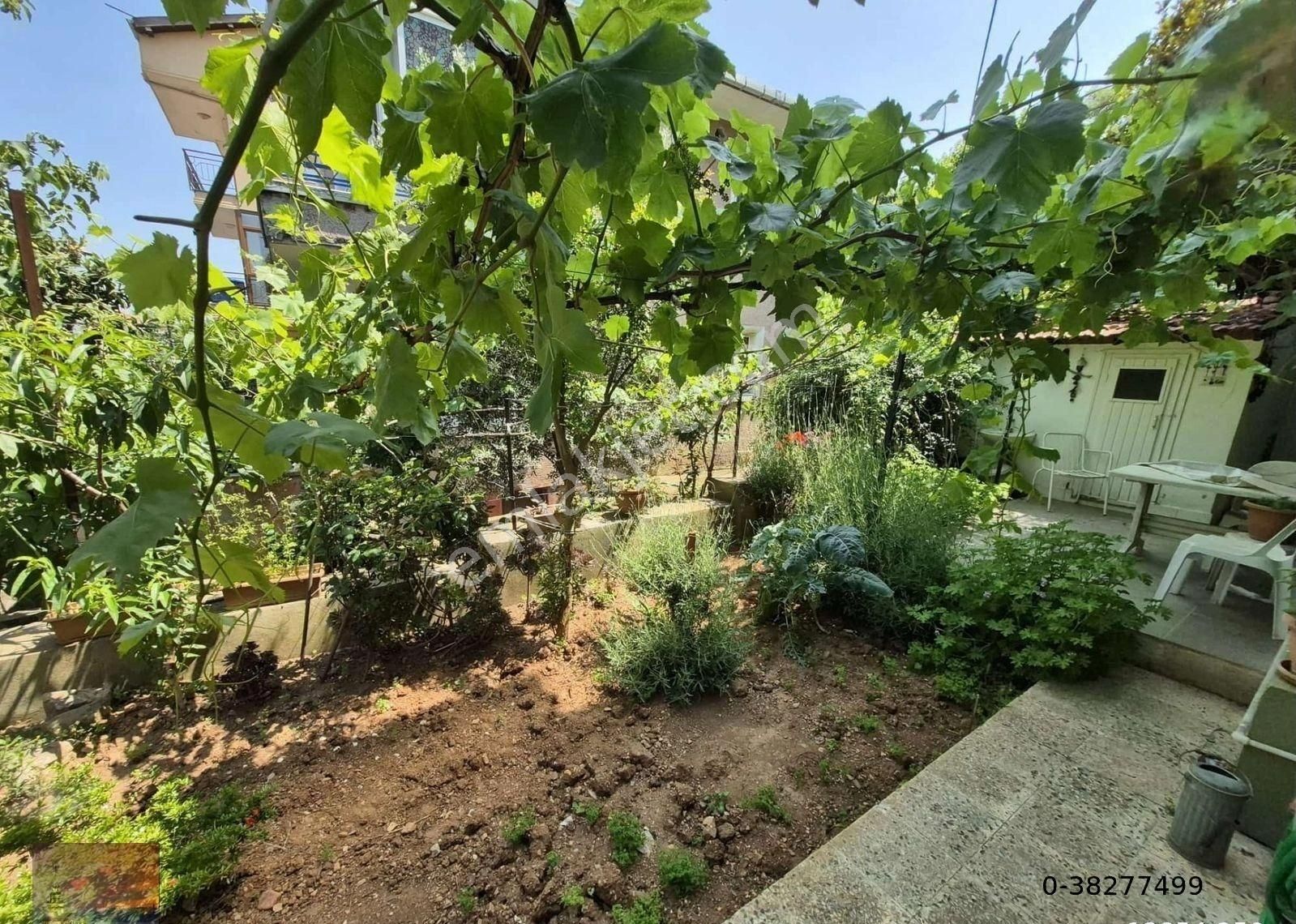 Heybeliada Kiralık Bahçe Katı Daire