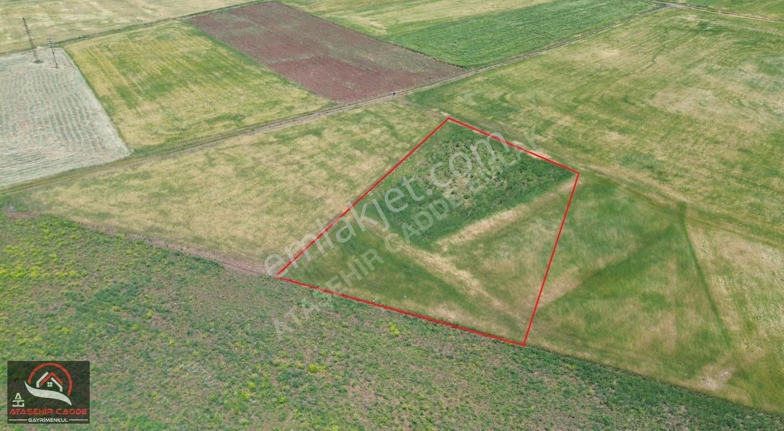 [acg] Yedigöze (germili)'de Satılık 3.306 M2 Tarla