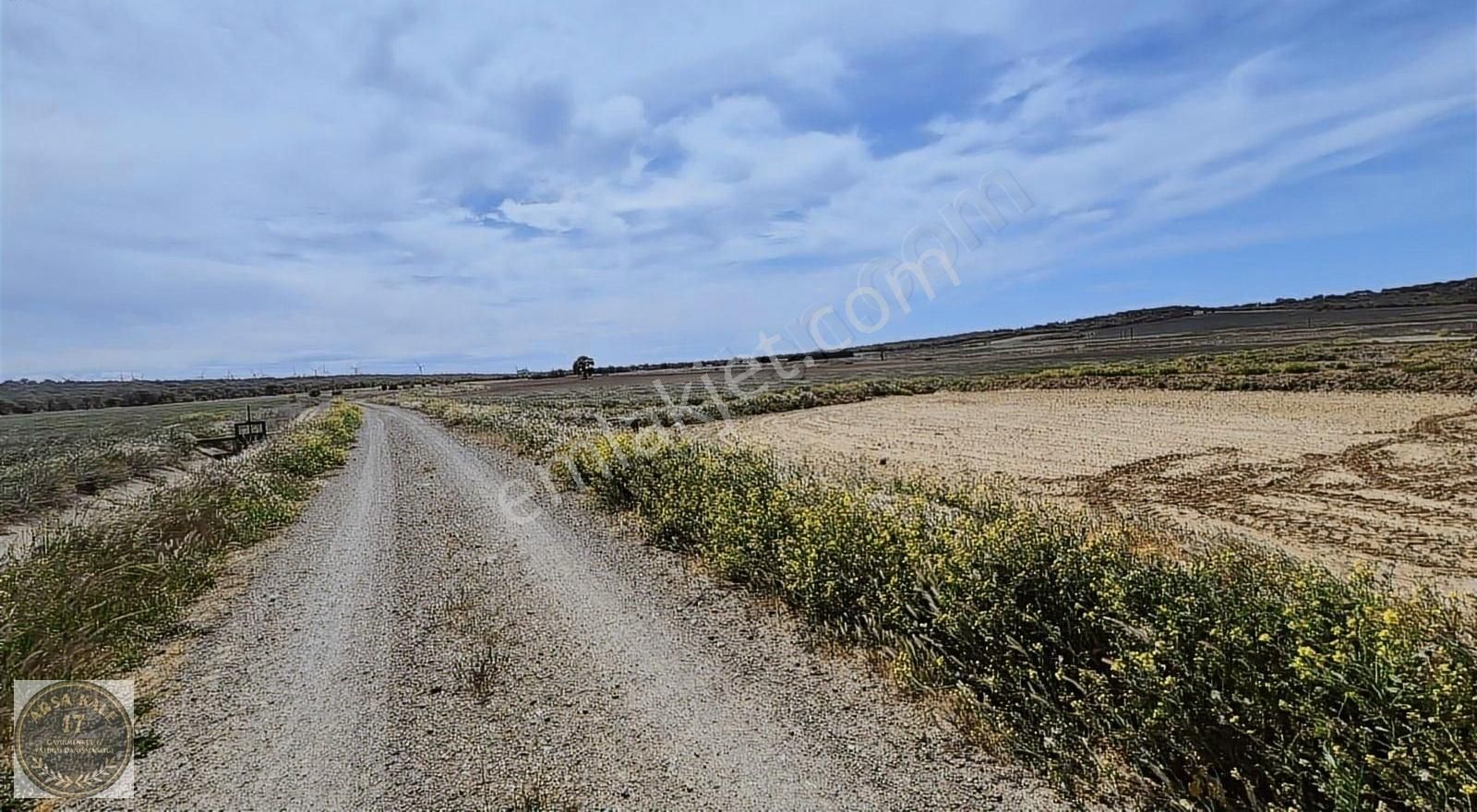 Ezine Yeniköy Ovasında 19720m2 Satılık Tarla