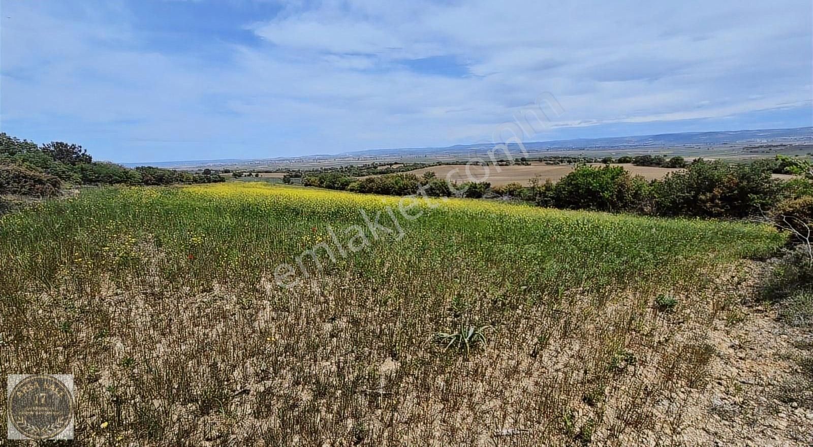 Üvecik Sivritepe Mevkii 15200m2 Deniz Tarla