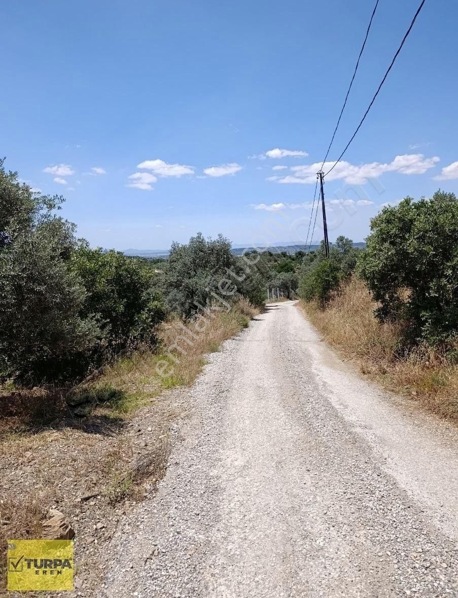 Torbalı Düverlik Köyü Satılık Tel Tapu Arazi