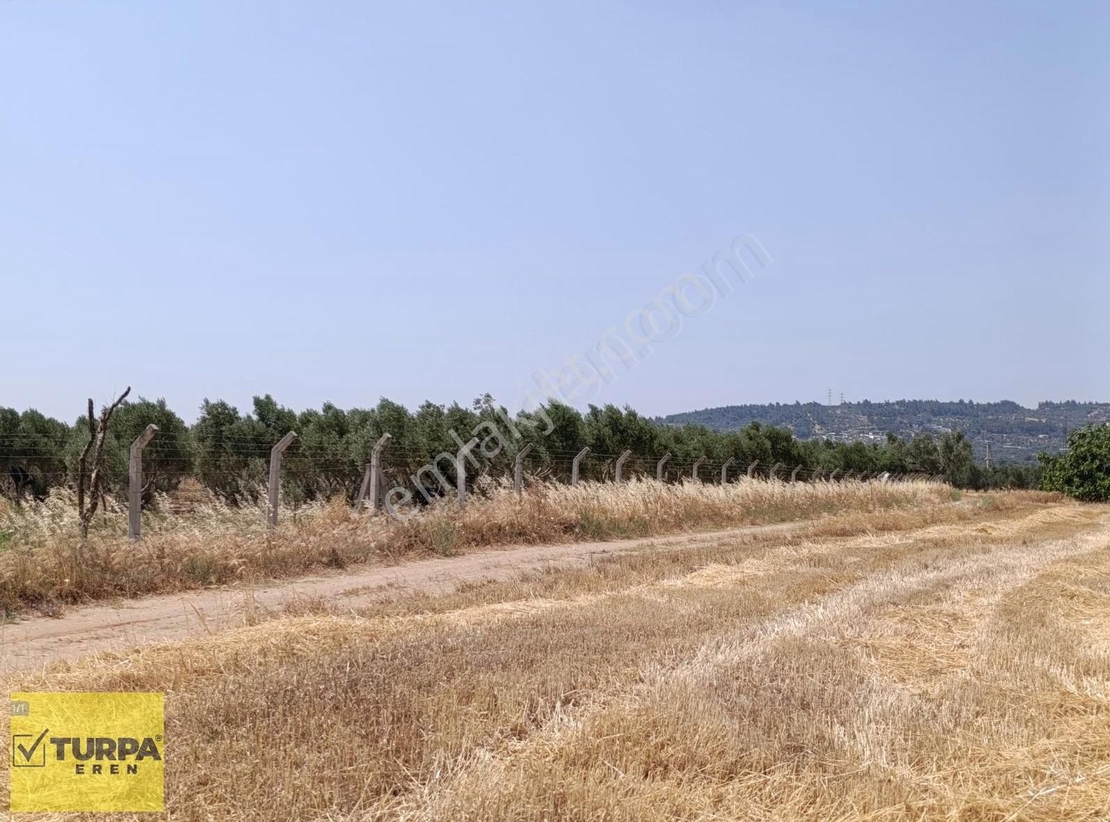 Torbalı Çapak Mah.satılık Tarla