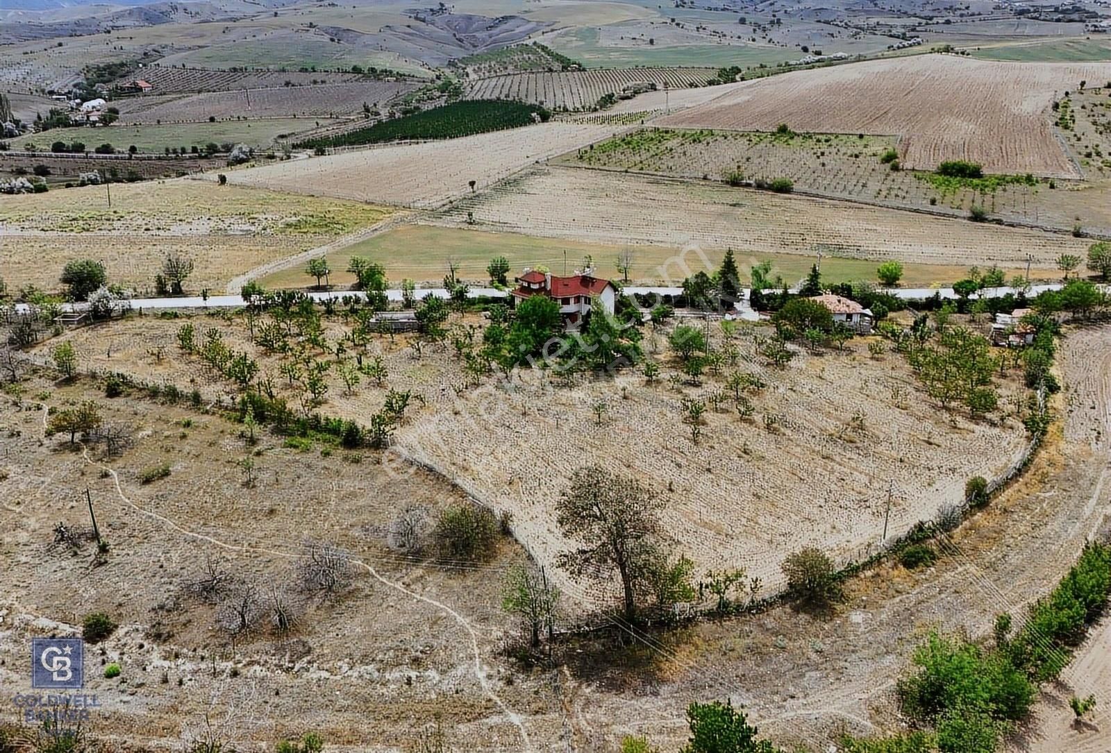 Kalecik Şenyurtta Satılık 9,160,90 M2 Çiftlik