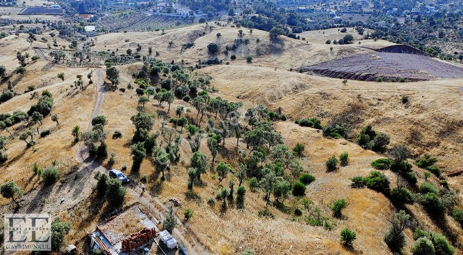 Seferihisar Orhanlı'da Yatırımlık Fırsat Tarla - Görsel 16