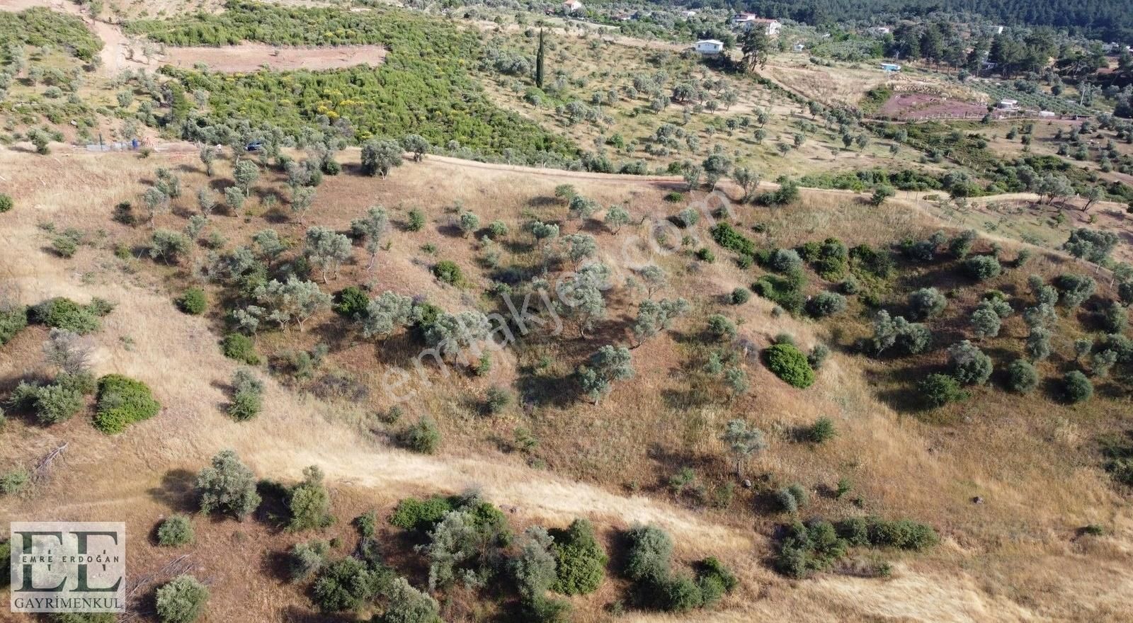 Seferihisar Orhanlı'da Yatırımlık Fırsat Tarla - Görsel 10