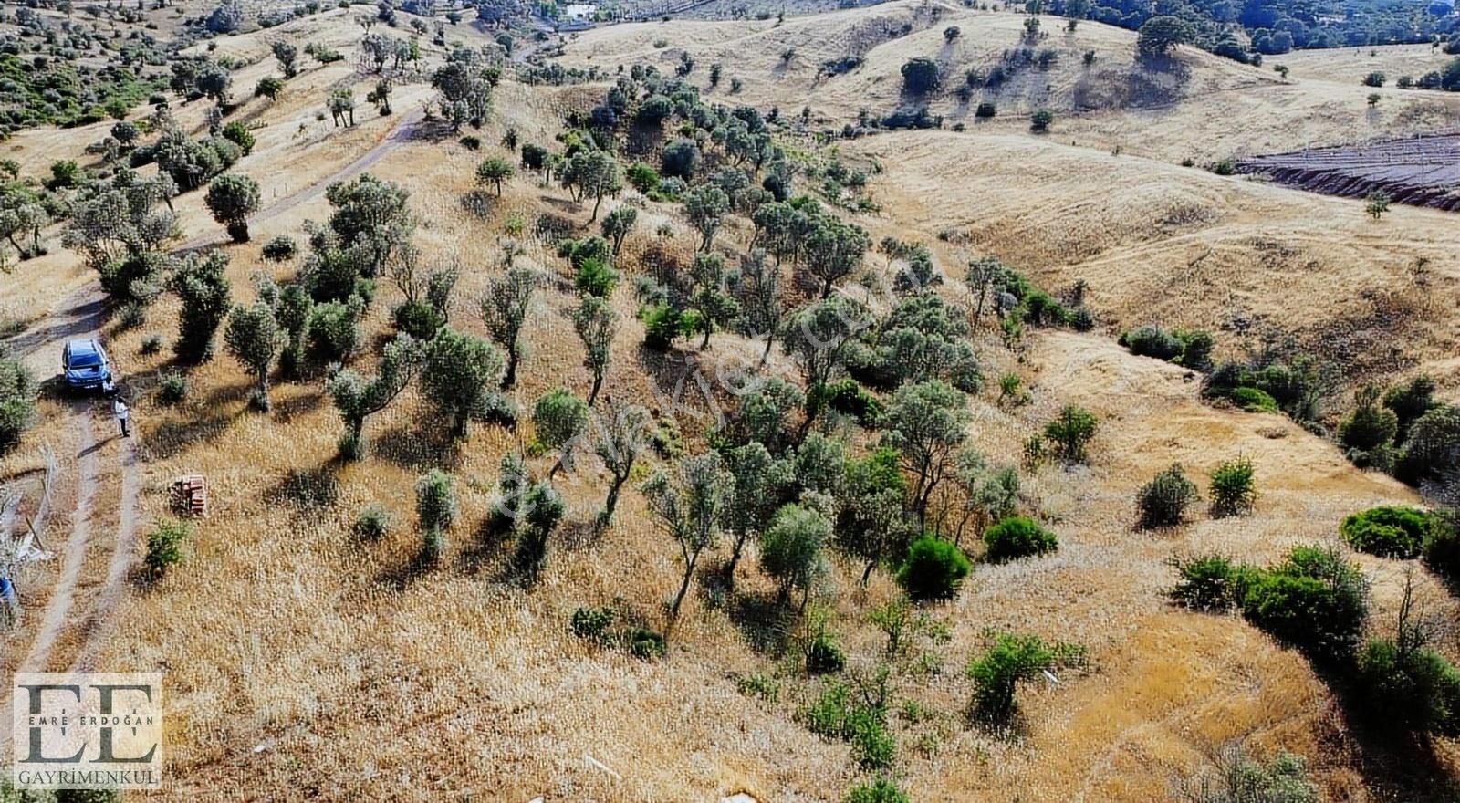 Seferihisar Orhanlı'da Yatırımlık Fırsat Tarla - Görsel 31