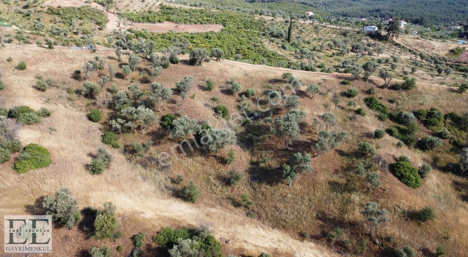 Seferihisar Orhanlı'da Yatırımlık Fırsat Tarla - Görsel 9