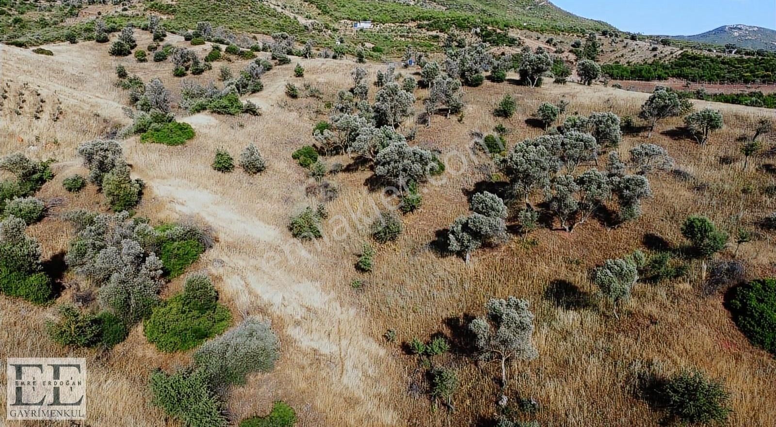 Seferihisar Orhanlı'da Yatırımlık Fırsat Tarla - Görsel 28