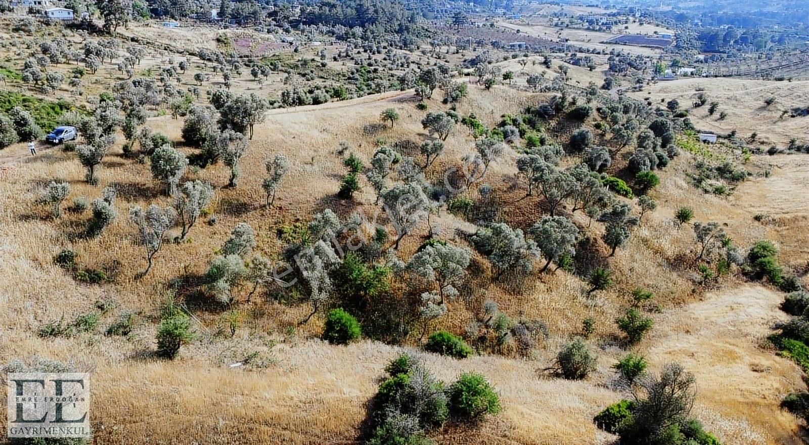 Seferihisar Orhanlı'da Yatırımlık Fırsat Tarla - Görsel 22