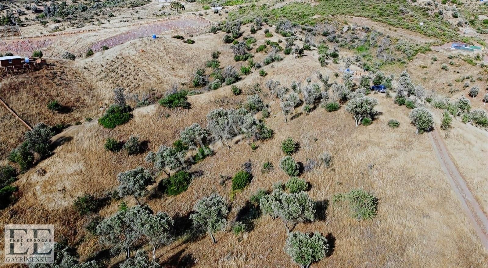 Seferihisar Orhanlı'da Yatırımlık Fırsat Tarla - Görsel 7