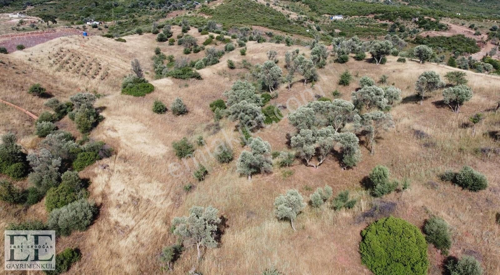 Seferihisar Orhanlı'da Yatırımlık Fırsat Tarla - Görsel 11