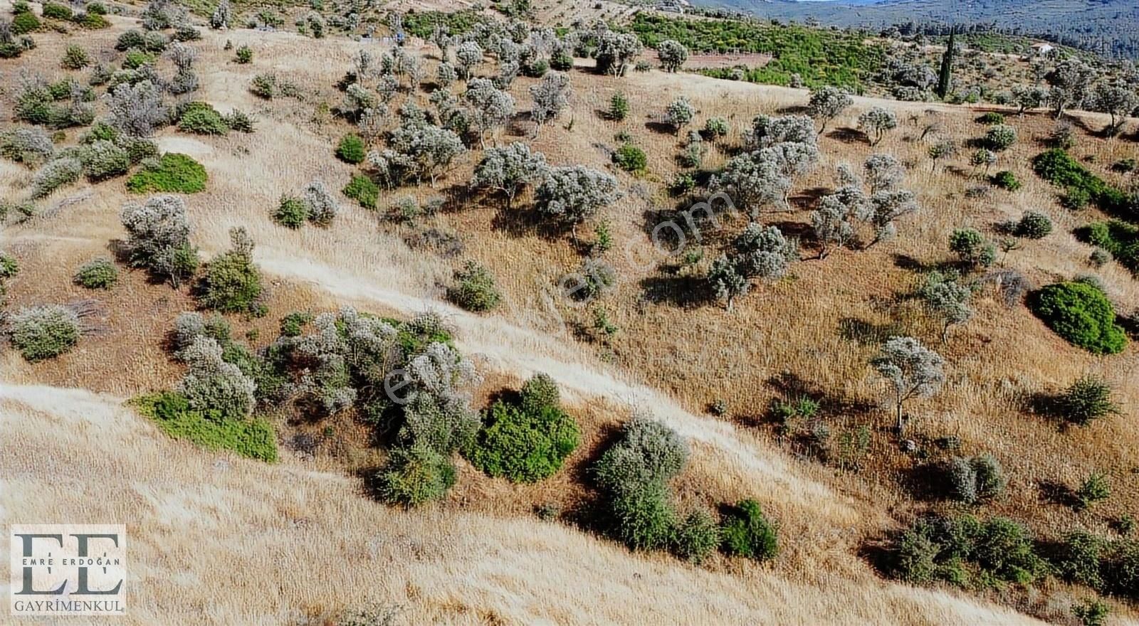 Seferihisar Orhanlı'da Yatırımlık Fırsat Tarla - Görsel 21