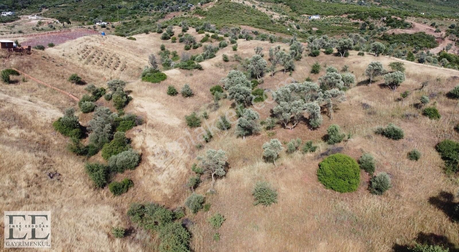 Seferihisar Orhanlı'da Yatırımlık Fırsat Tarla - Görsel 25