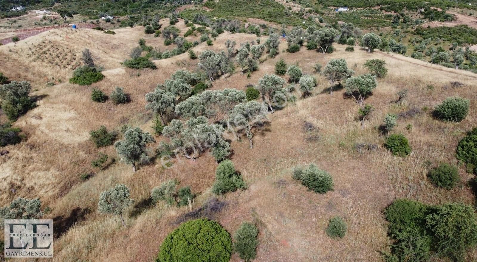 Seferihisar Orhanlı'da Yatırımlık Fırsat Tarla - Görsel 15