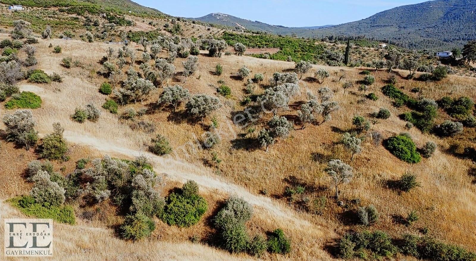 Seferihisar Orhanlı'da Yatırımlık Fırsat Tarla - Görsel 29