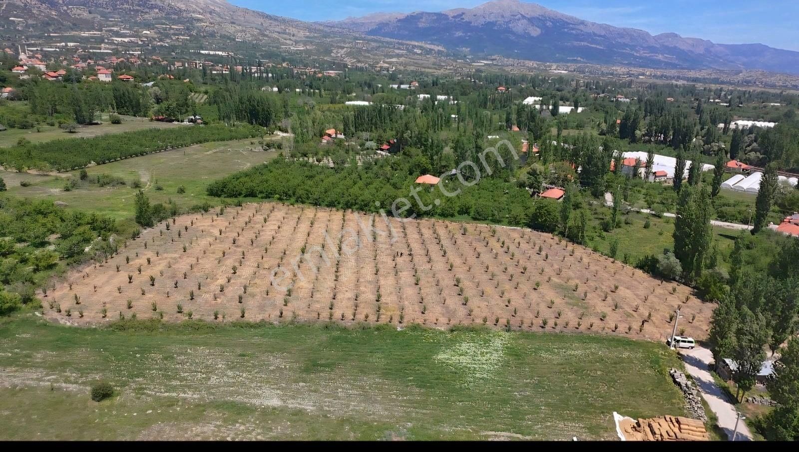 Kaş Gömbe Merkezde Kadastral Yollu 11.400m2 Satılık Elma Bahçesi