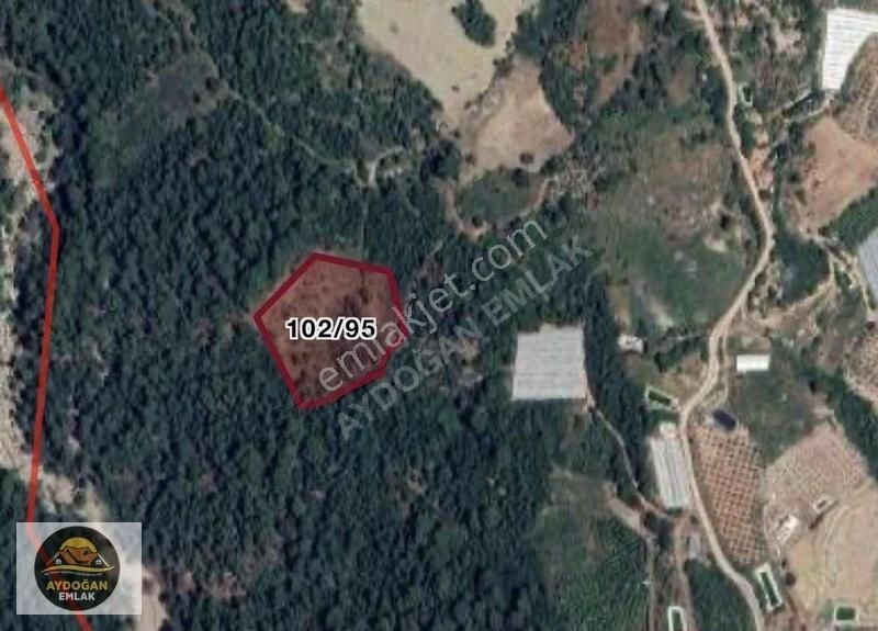 Aydoğan Emlak'tan Müstakil Tapu 10.828,89 M2 Tarla - Görsel 2