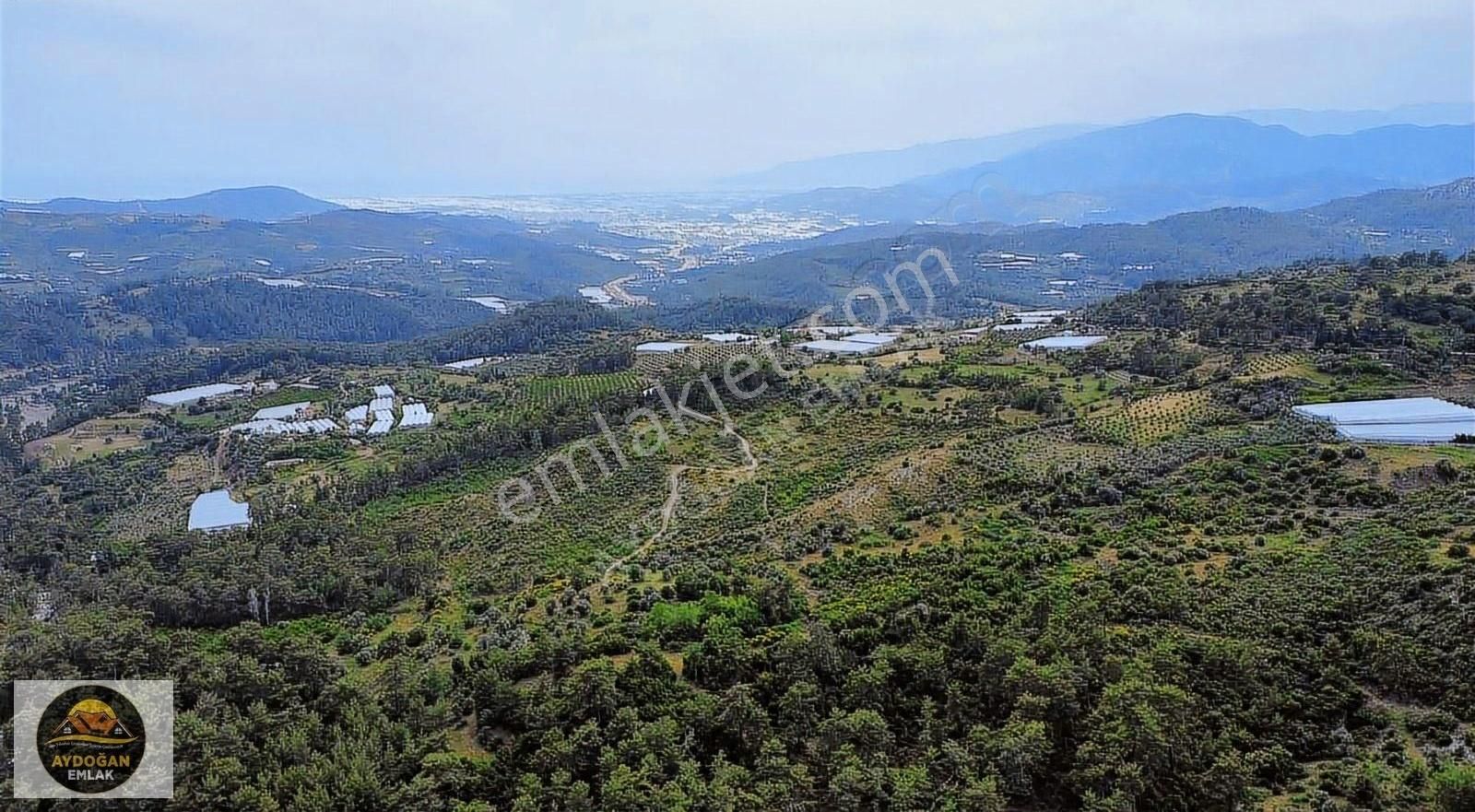 Aydoğan Emlak'tan Müstakil Tapu 10.828,89 M2 Tarla