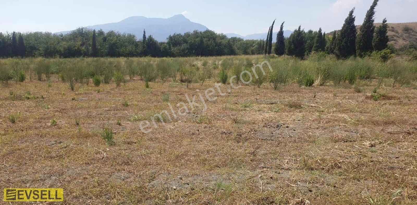 Evsell'den Muğla Dalyan'da Tarıma Elverişli Satılık Arsa