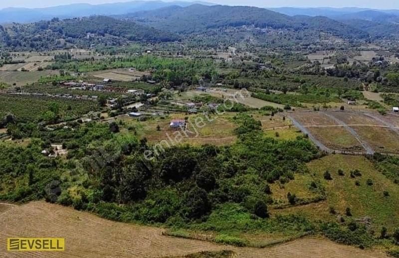 Evsel'den Şile Kurfallı'da 1212 Metrekare Tarla