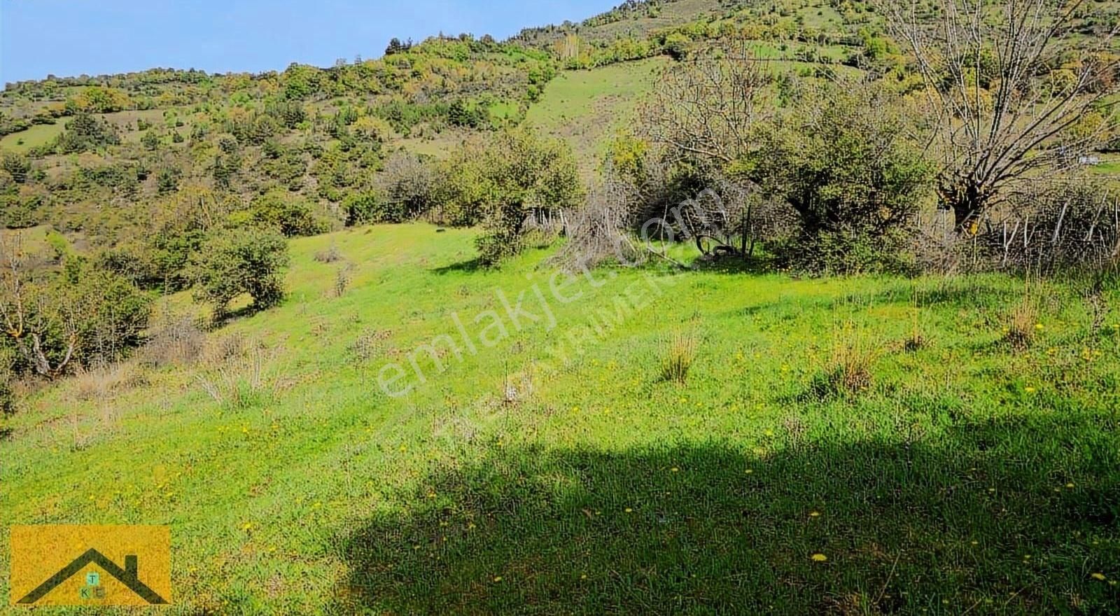 Bölgenin En Ucuzu En Kelepiri - Görsel 2