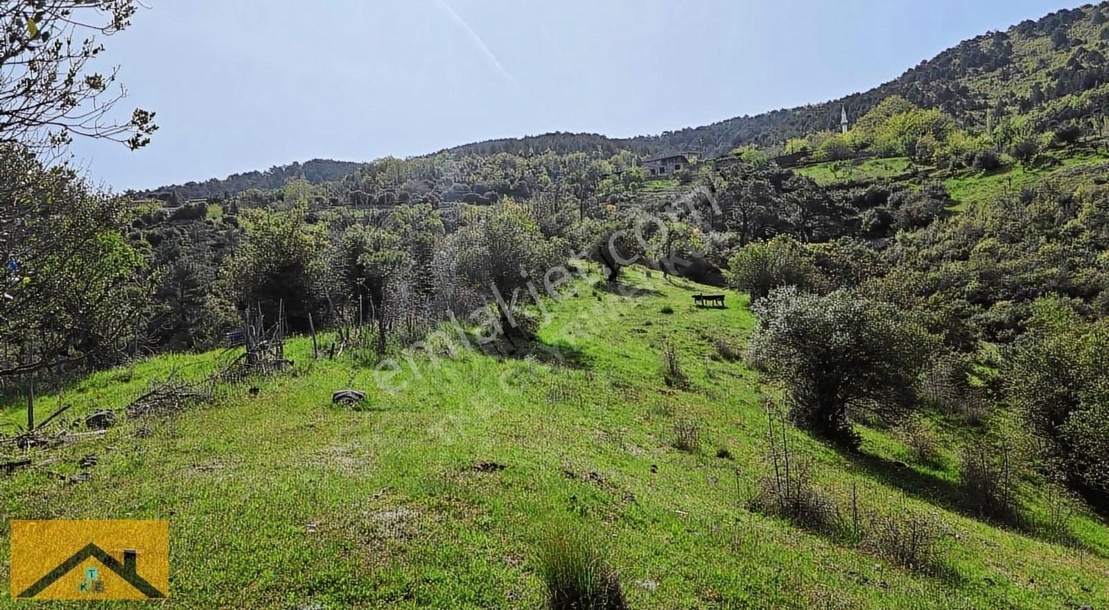 Bölgenin En Ucuzu En Kelepiri - Görsel 3