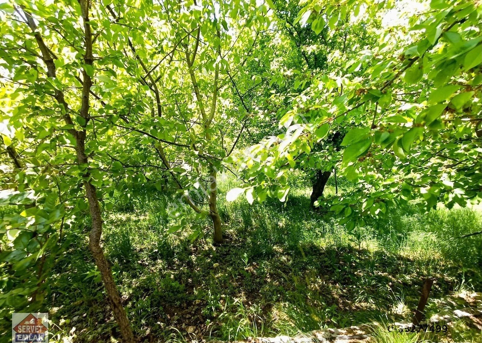 Satılık Süper Konumda 1180.metre Arsa İçinde 2.katlı Ev Su Elektirik 3.tarafı Yol Olan Yatırımlık Ya - Görsel 26