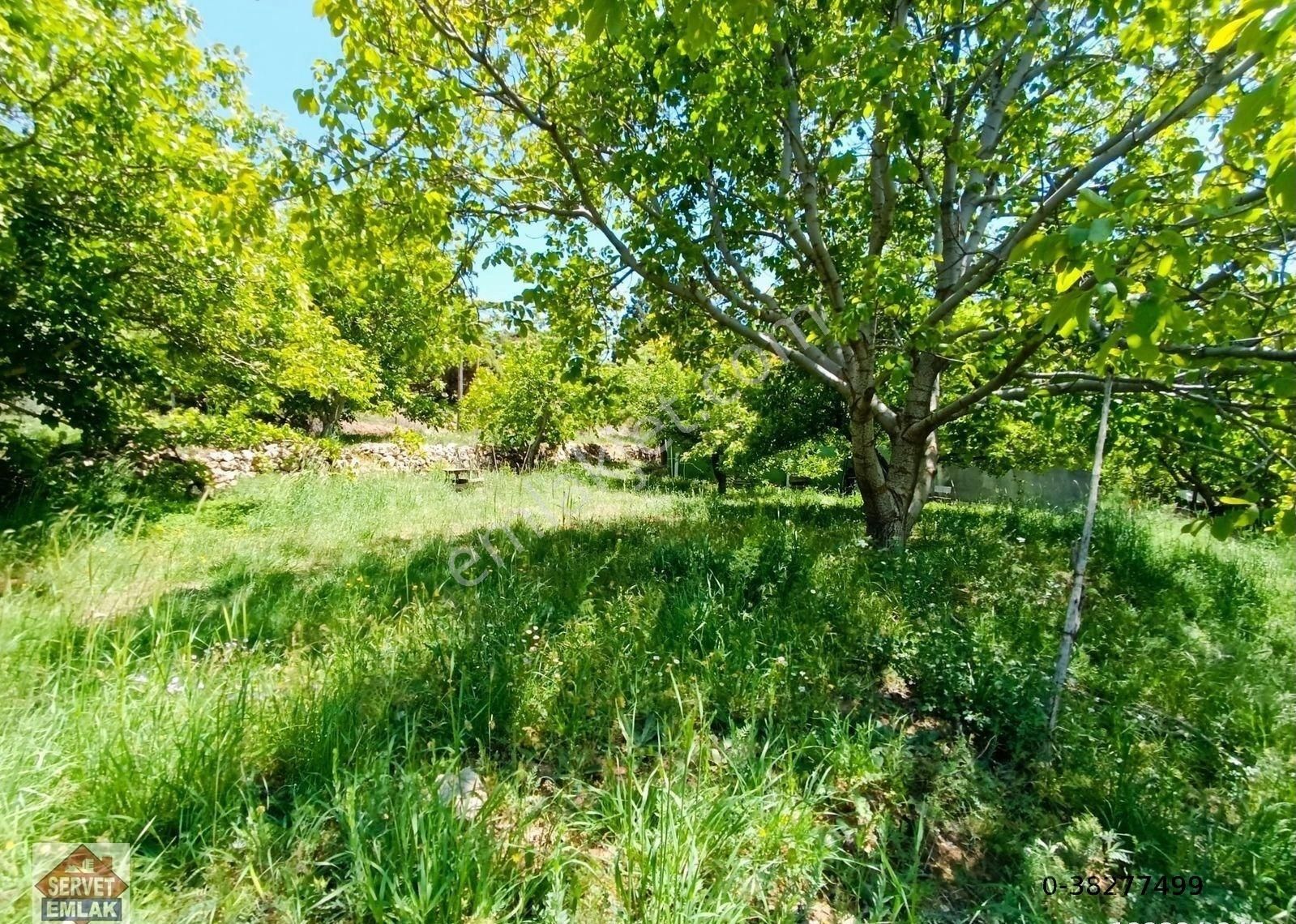 Satılık Süper Konumda 1180.metre Arsa İçinde 2.katlı Ev Su Elektirik 3.tarafı Yol Olan Yatırımlık Ya - Görsel 20