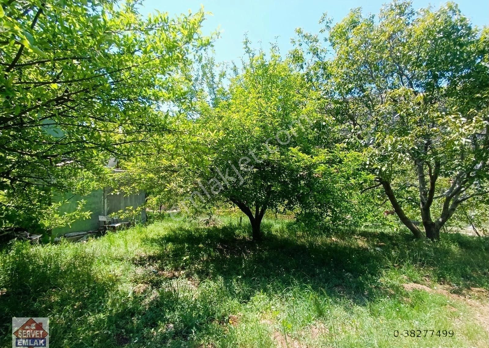 Satılık Süper Konumda 1180.metre Arsa İçinde 2.katlı Ev Su Elektirik 3.tarafı Yol Olan Yatırımlık Ya - Görsel 14