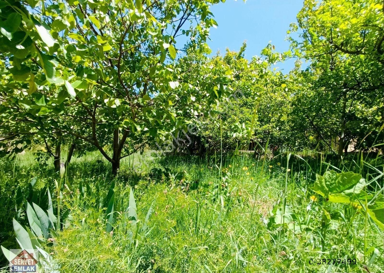 Satılık Süper Konumda 1180.metre Arsa İçinde 2.katlı Ev Su Elektirik 3.tarafı Yol Olan Yatırımlık Ya - Görsel 10