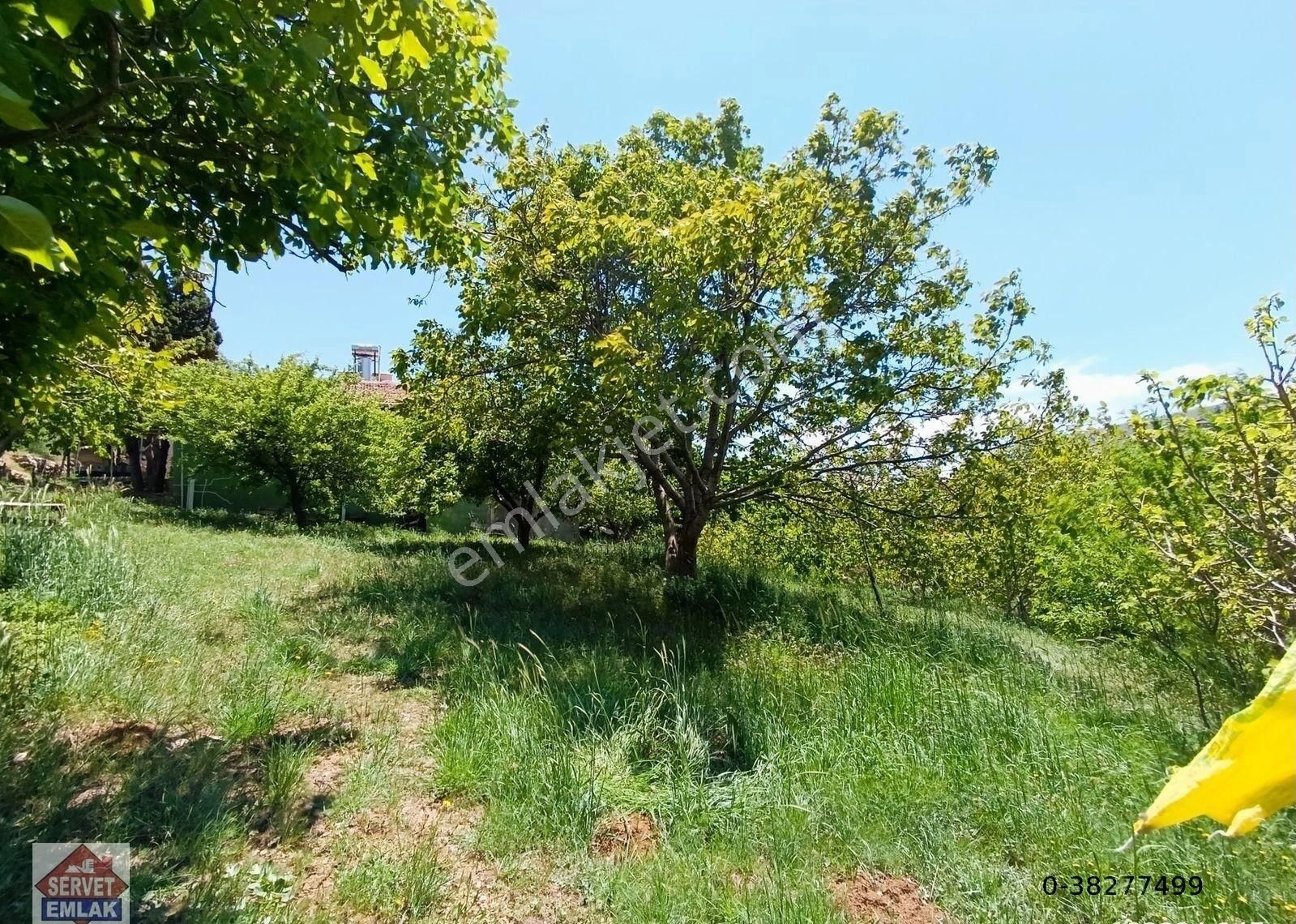 Satılık Süper Konumda 1180.metre Arsa İçinde 2.katlı Ev Su Elektirik 3.tarafı Yol Olan Yatırımlık Ya - Görsel 12