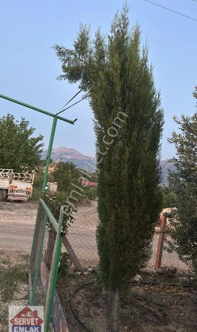 Satılık Süper Konumda 1850.metre Kare Arsa İçinde 1.adet Ev Su Elektirik Kuyusu Olan Zeytin Bahçesi - Görsel 4