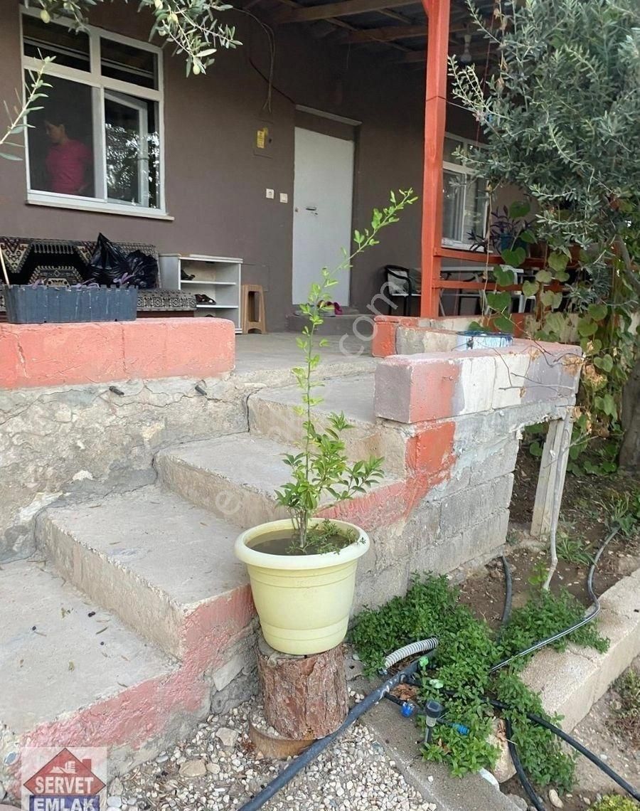 Satılık Süper Konumda 1850.metre Kare Arsa İçinde 1.adet Ev Su Elektirik Kuyusu Olan Zeytin Bahçesi