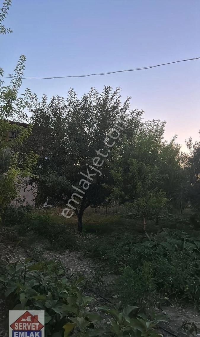 Satılık Süper Konumda 1850.metre Kare Arsa İçinde 1.adet Ev Su Elektirik Kuyusu Olan Zeytin Bahçesi - Görsel 21