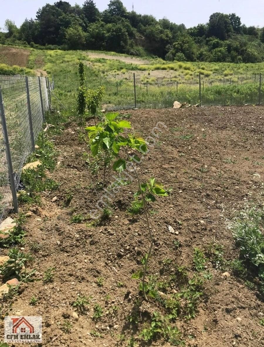 Gülbahçe Mahallesinde 330 M2 Satılık Tarla Hissesi - Görsel 5