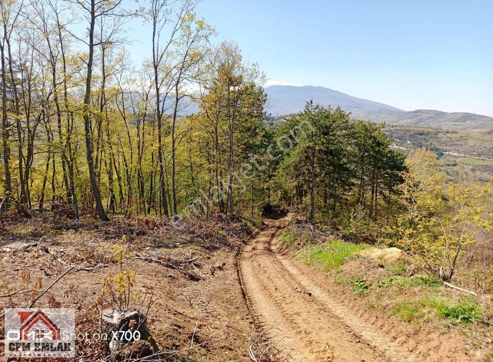 İnegöl-sarıpınar'da 4.233 M2 Satılık Tarla - Görsel 4