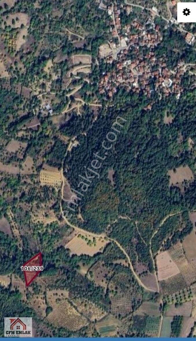 İnegöl-sarıpınar'da 4.233 M2 Satılık Tarla - Görsel 11