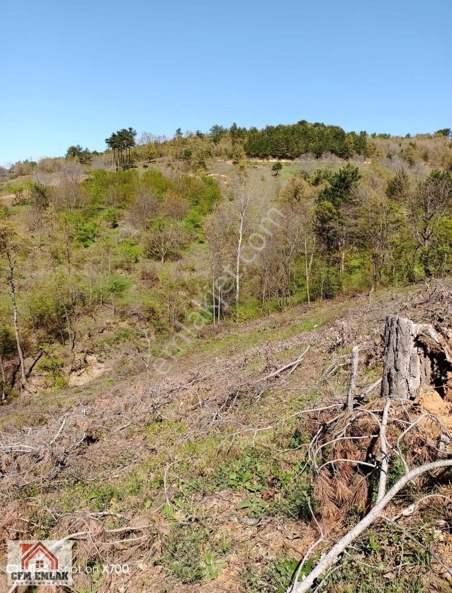 İnegöl-sarıpınar'da 4.233 M2 Satılık Tarla - Görsel 8