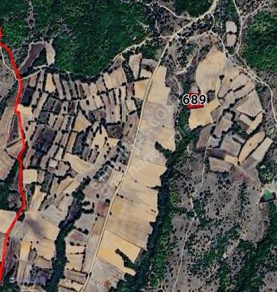 Edirne Uzunküprü Ömerbey Köyü Nde Satılık Kelepir 3700 M2 Tarla