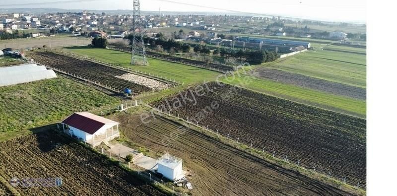 Silivri Büyükkılıç.lı Köyün De Satılık 1065 Mt Çevrili Arsa