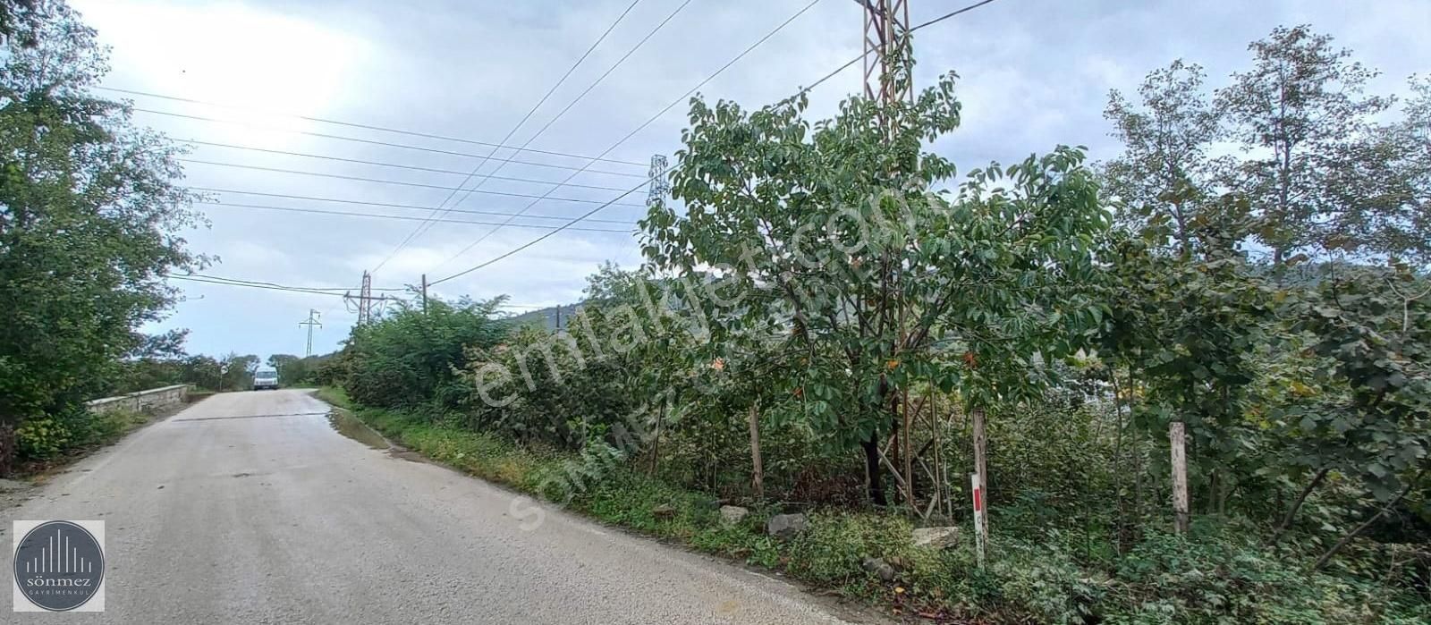 Sönmez'den Efirli Mahalle'sinde İmara Uygun 3.873m² Satılık Arsa