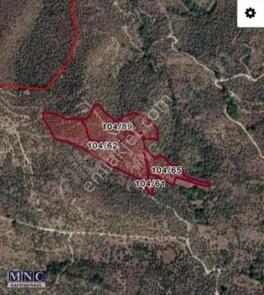 Verimli Zeytinlik,bafa Göl Manzaralı, Kargir Ev, Yatırım Arazisi