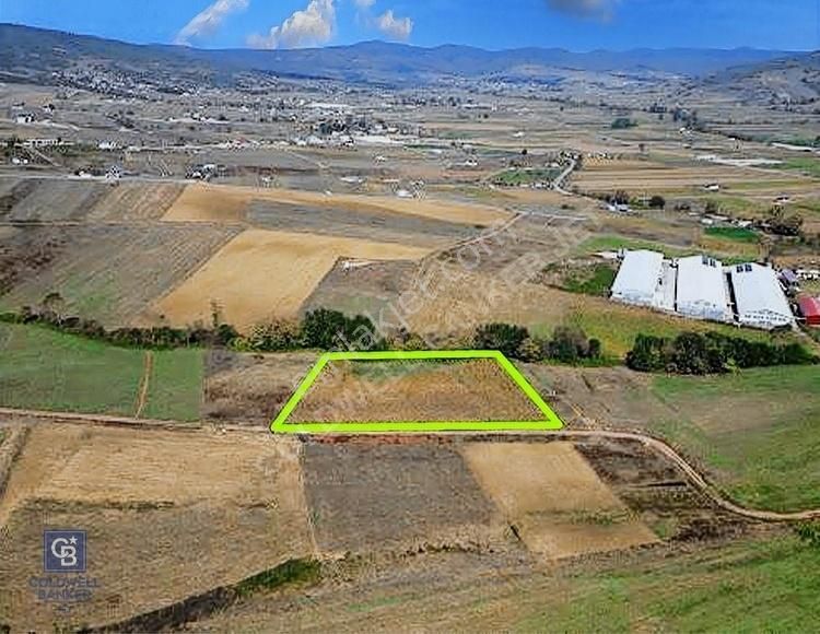 Kocaelide %5 İmarlı 5538 M² Yatırım Fırsatı Doğayla İç İçe