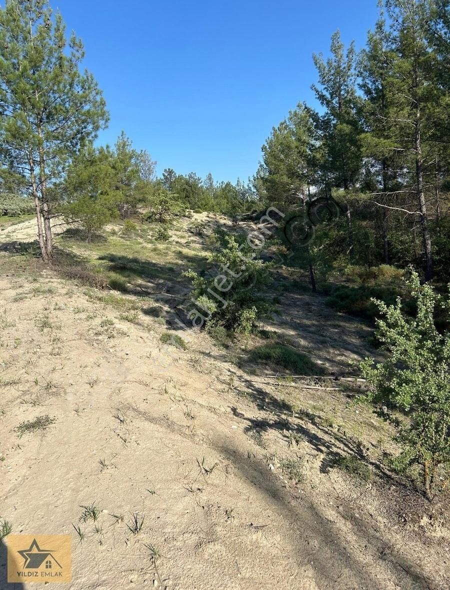 Denizli Kale Satılık 4.990m2 Satılık Tarla