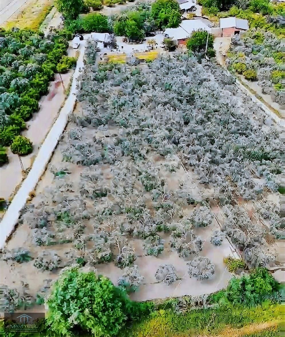 Edremit Cennetayağı Mh. İmara Yakın Yatırımlık 7.444 Çiflik
