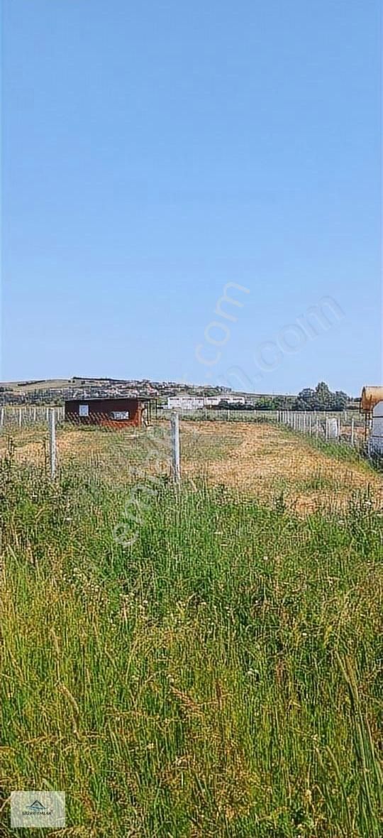 Kavaklı Da Müstakil Villa İmarlı Arsa 1140m2