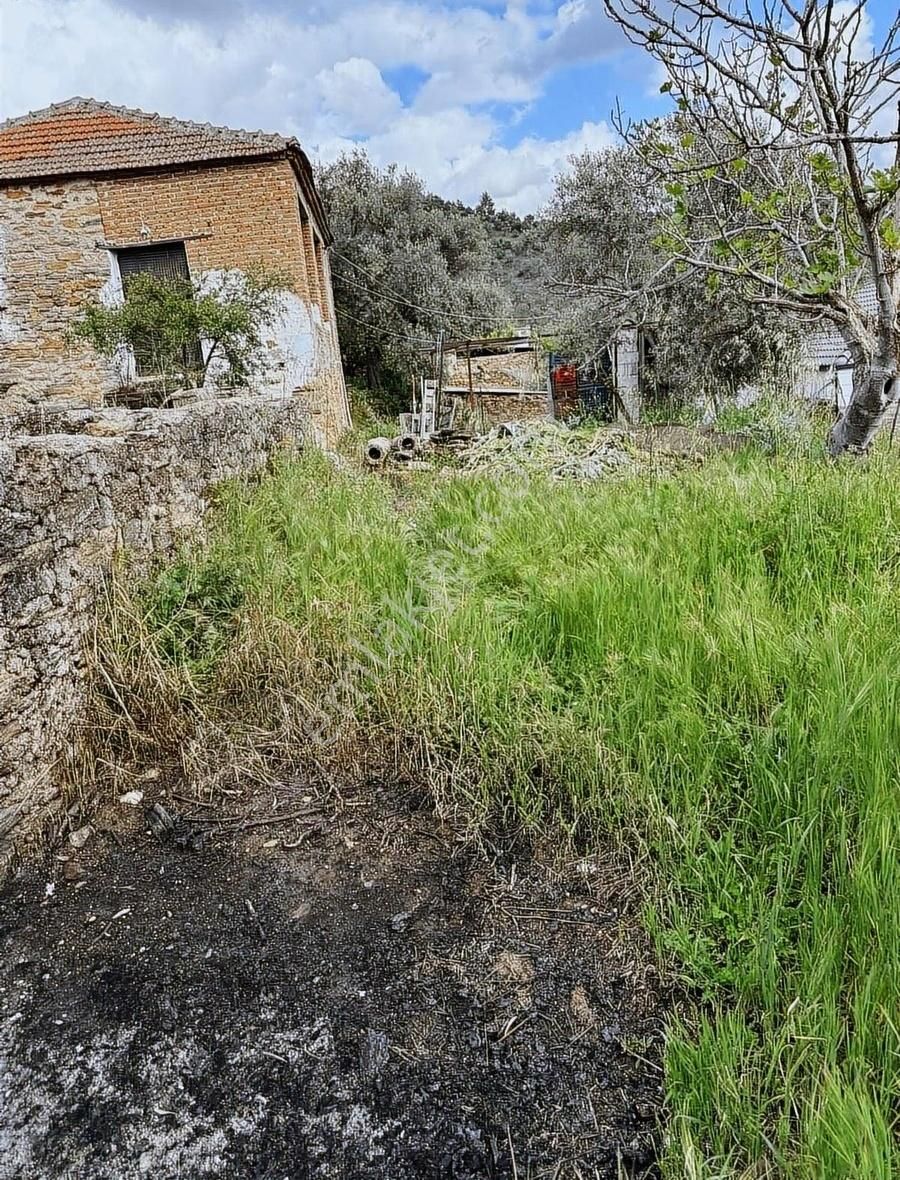 Akbaşlar'dan Milas Kırcağızda Müstakil Arsalar - Görsel 3